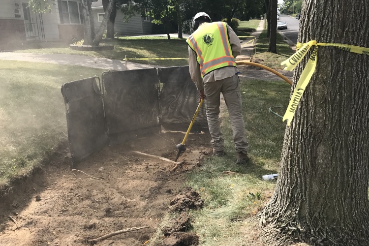 Using an air spade to mark tree roots so they are not disturbed for a construction project